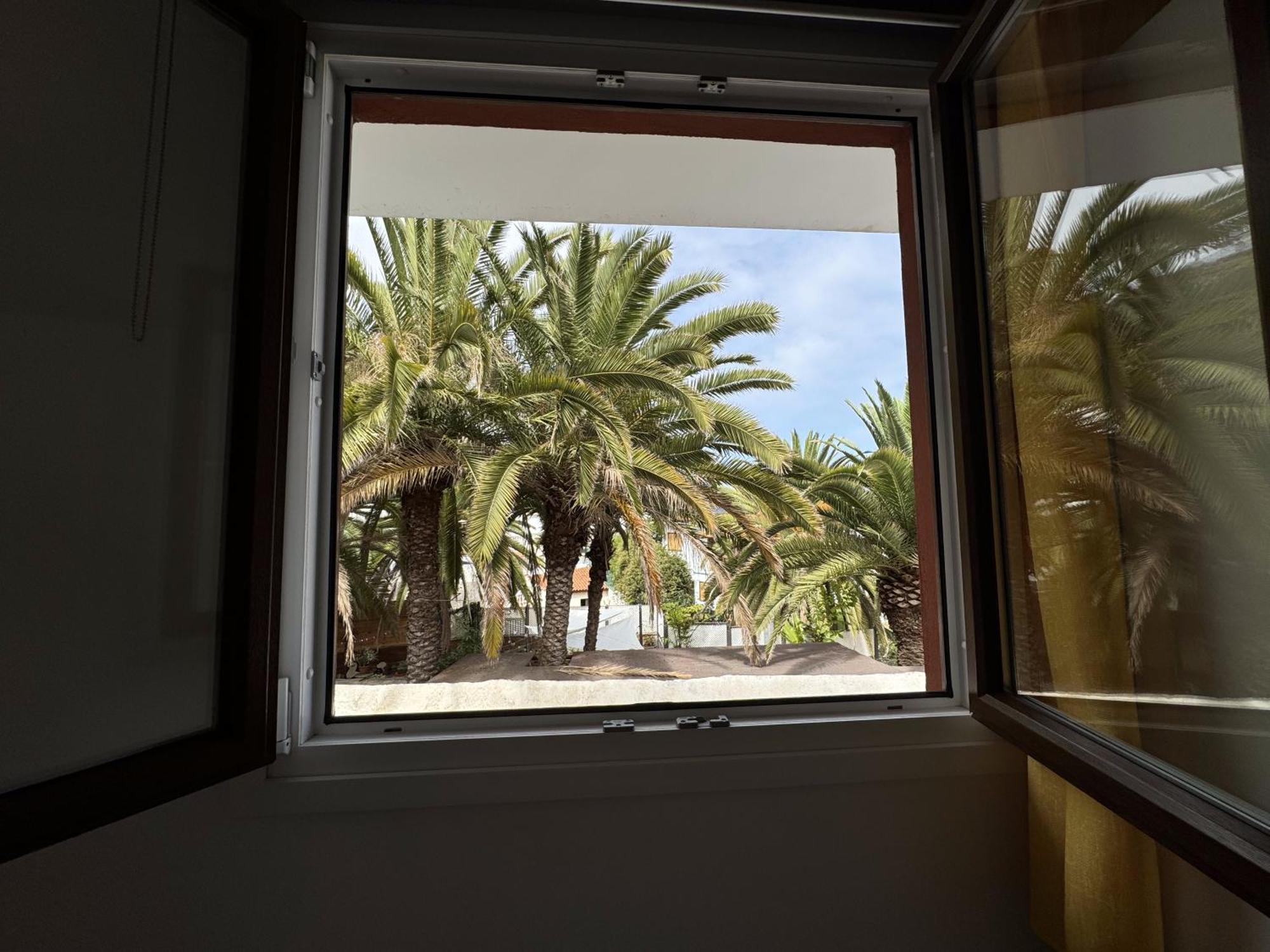 Phoenix Canariensis San Juan de la Rambla Zewnętrze zdjęcie