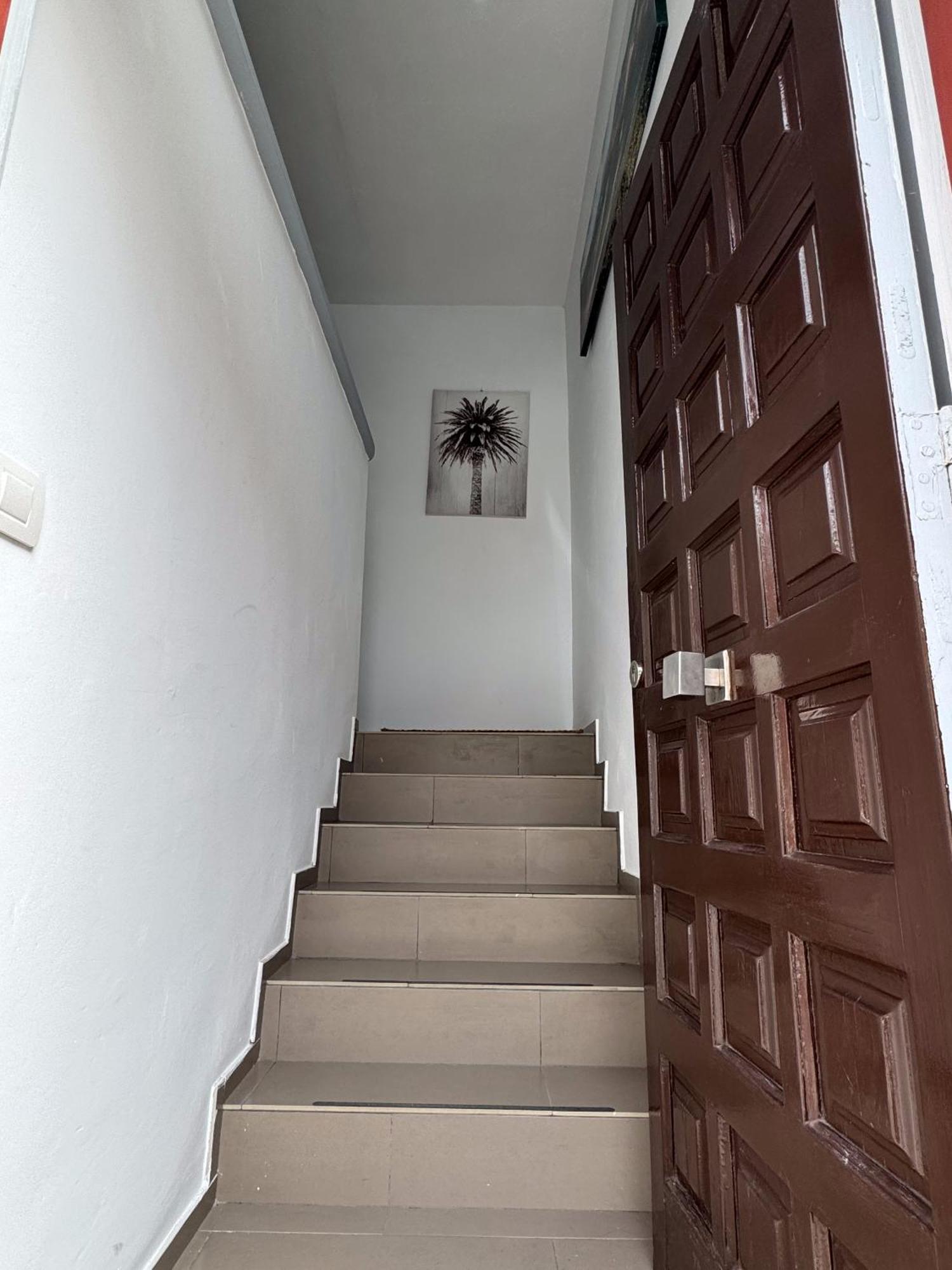 Phoenix Canariensis San Juan de la Rambla Zewnętrze zdjęcie