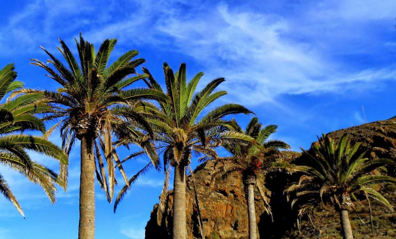 Phoenix Canariensis San Juan de la Rambla Zewnętrze zdjęcie